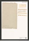Synedra barbatula Kuetz. (de-Toni-Nr.: Genus 66, Species 2599) Zeichnungen Sammlung Grunow (NHMW-BOT-W0373696)